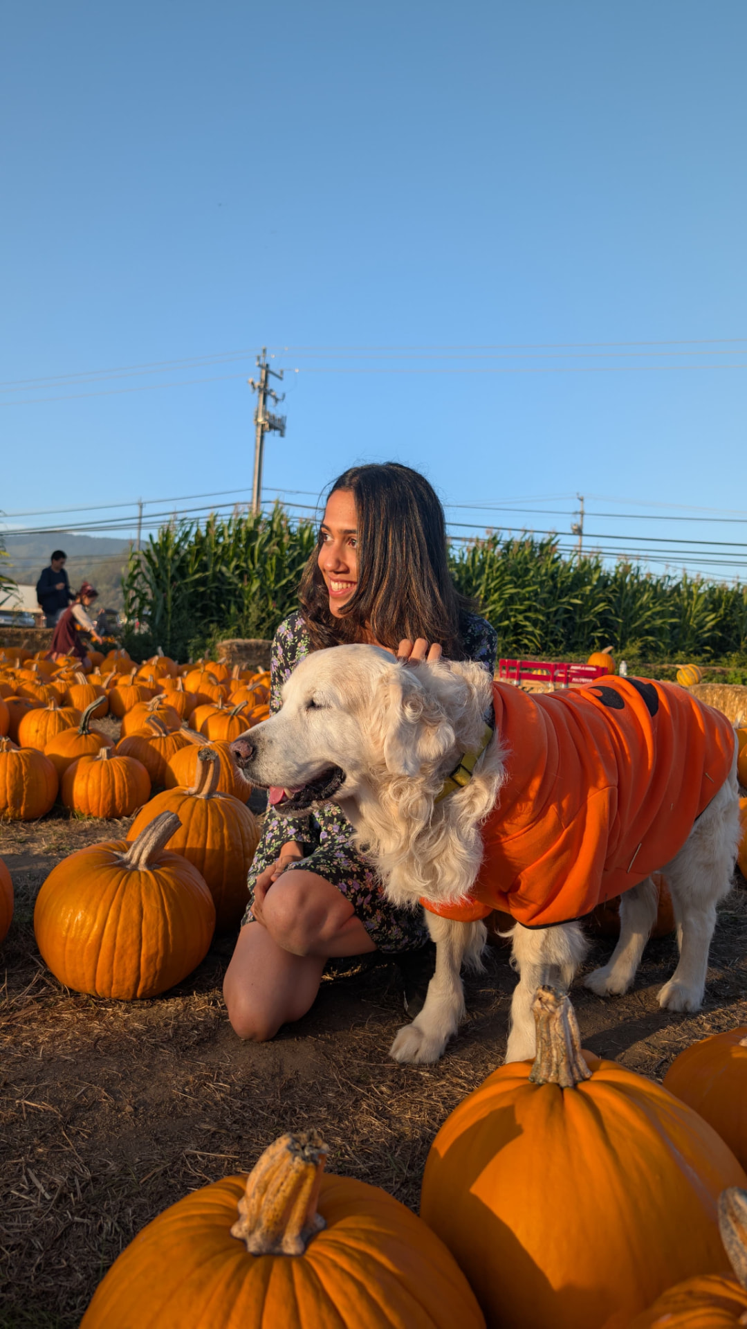 His pumpkin costume