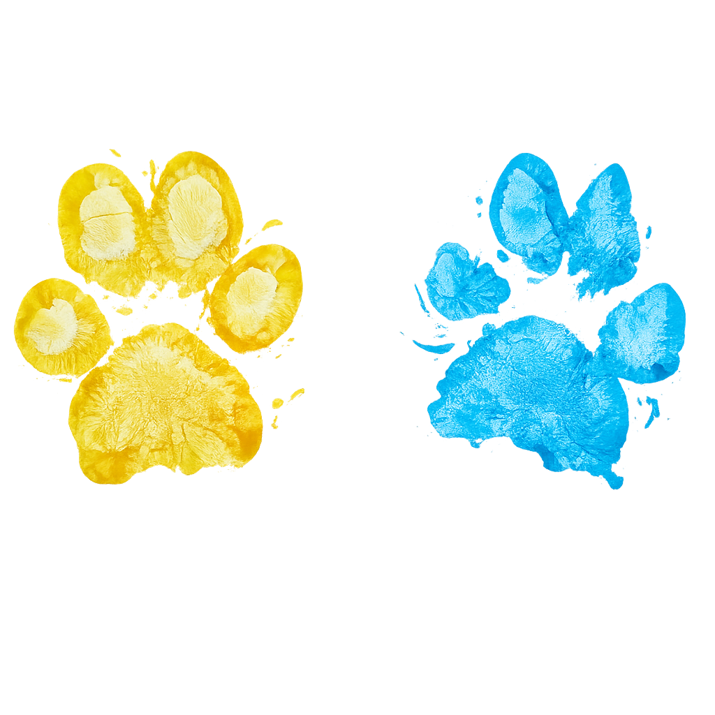 The original document and paw print