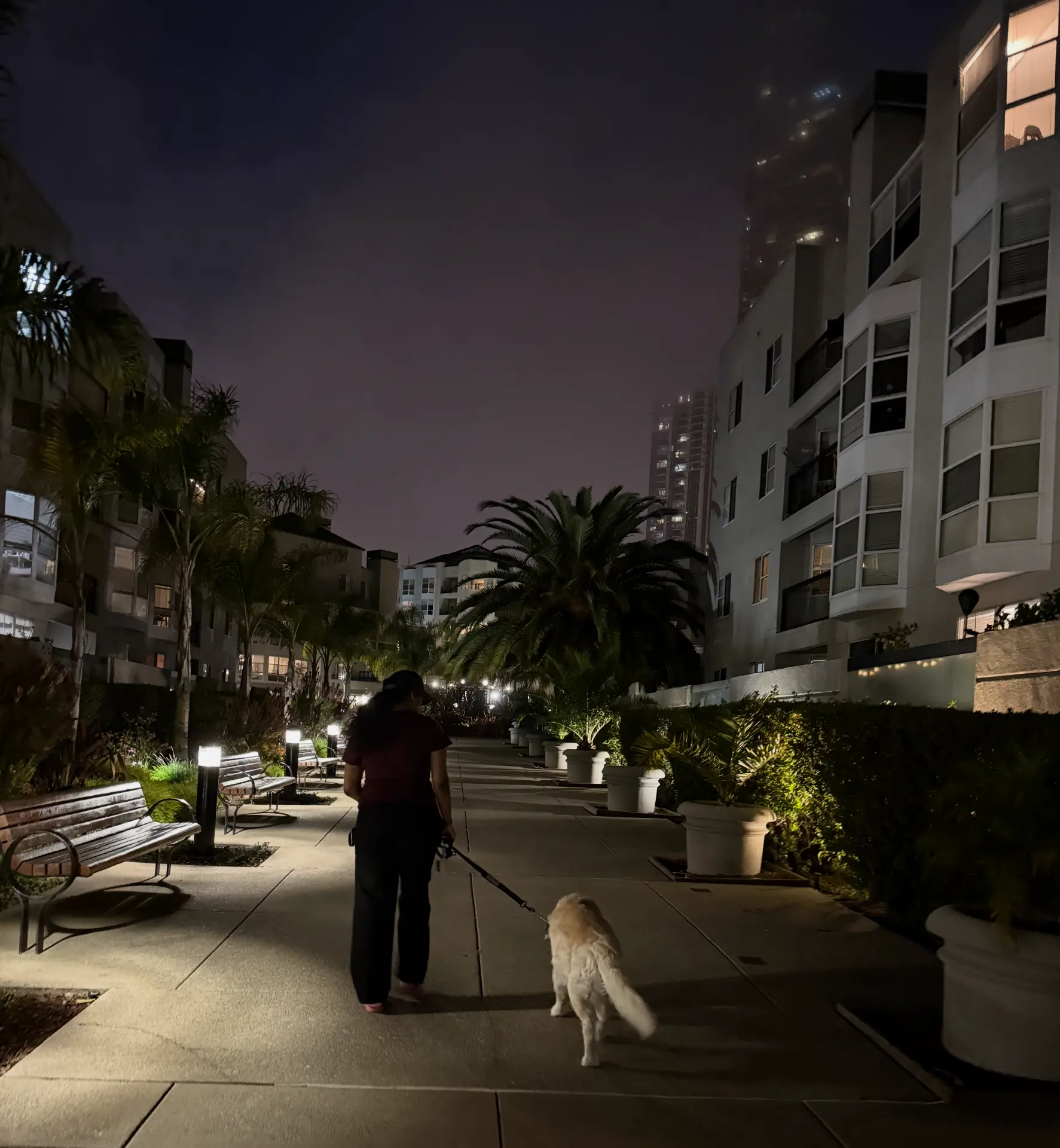 Night walks around the block