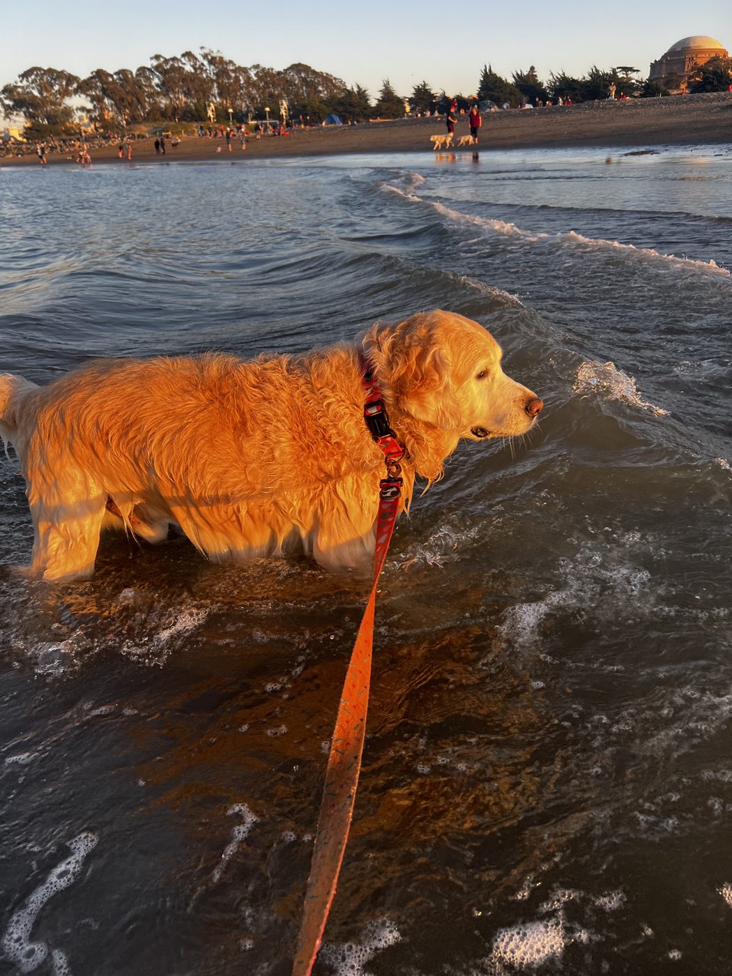 First swim