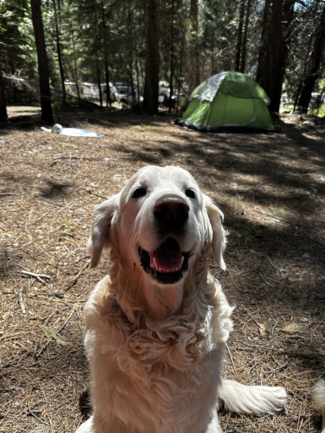 First camping trip