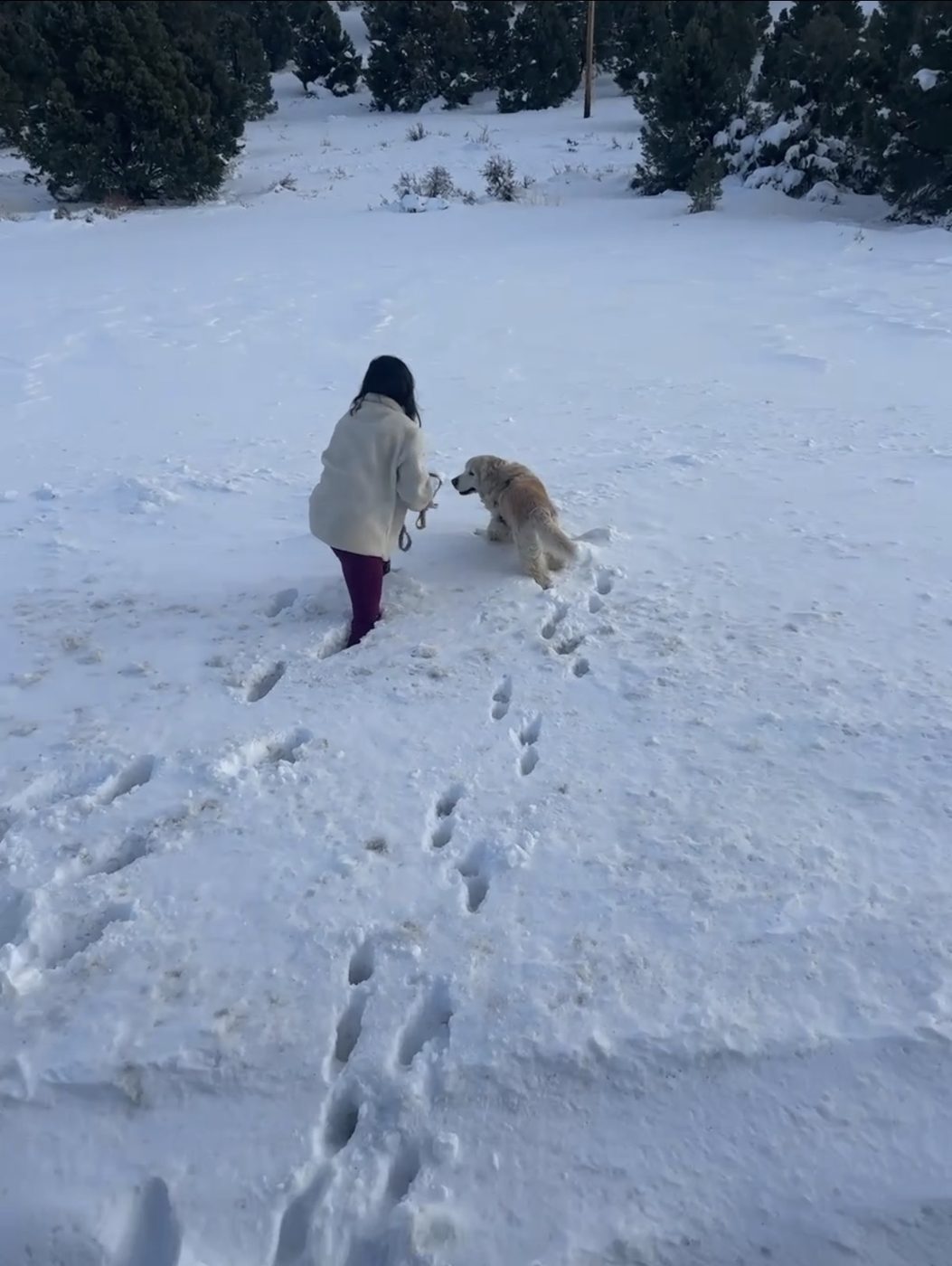 First snow