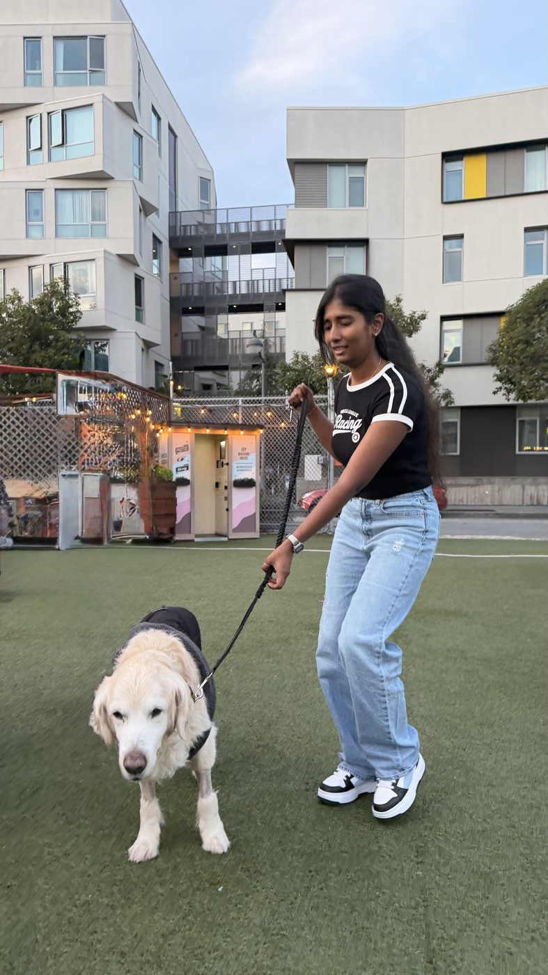 Walks, taken over by friends