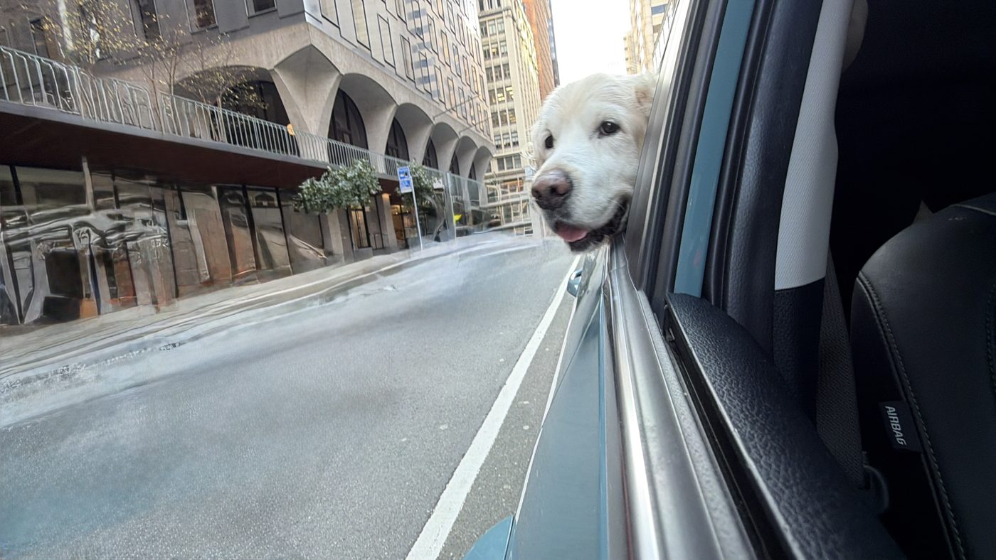 Window down, ears out