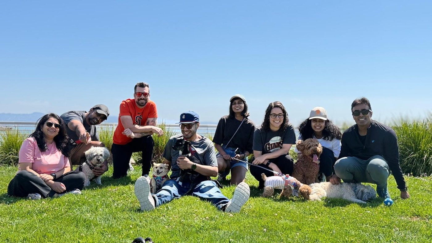 Small dogs at a San Francisco park