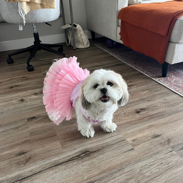 Mochi
