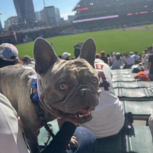 Nacho